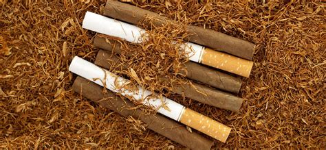 are cigars similar to cigarettes